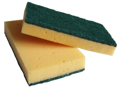 Sponge Scourers - Large