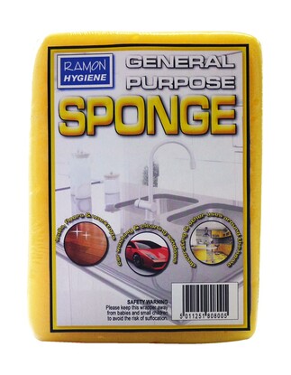 Sponge Large