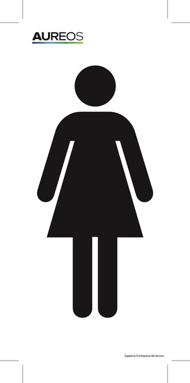 Picture of Toilets - Ladies 75mm X 175mm