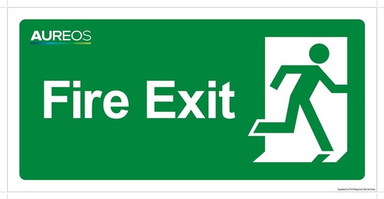 Picture of Fire Exit 600mm X 300mm Photoluminescent 