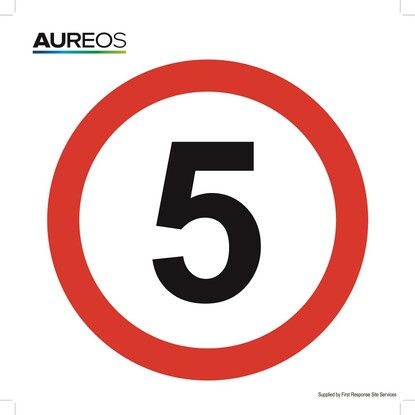 Show details for 5MPH 300mm X 300mm