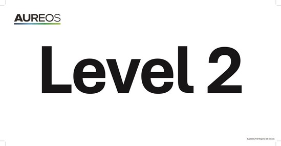 Picture of Level 2 600mm X 300mm