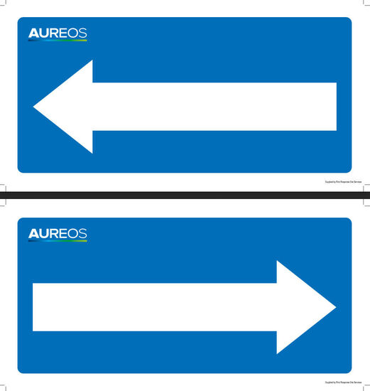 Picture of Blue Arrow Sign (Left, Right) Double Sided 600mm X 300mm